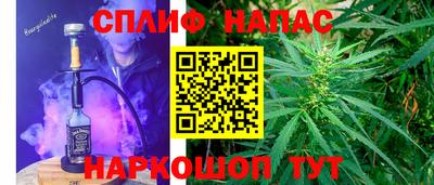 apvp Кингисепп