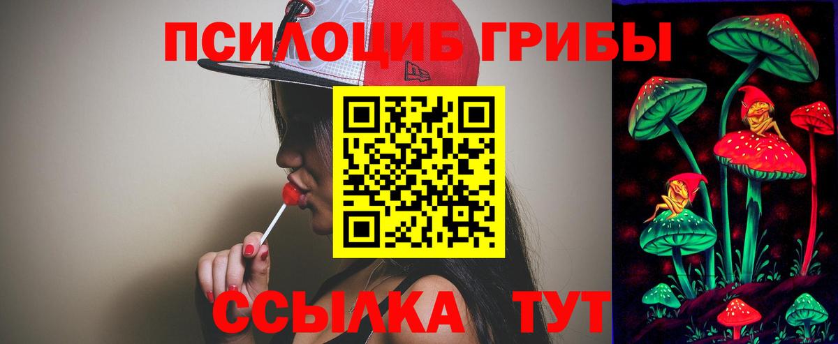 Псилоцибиновые грибы мицелий  Вход с VPN  Кудымкар 
